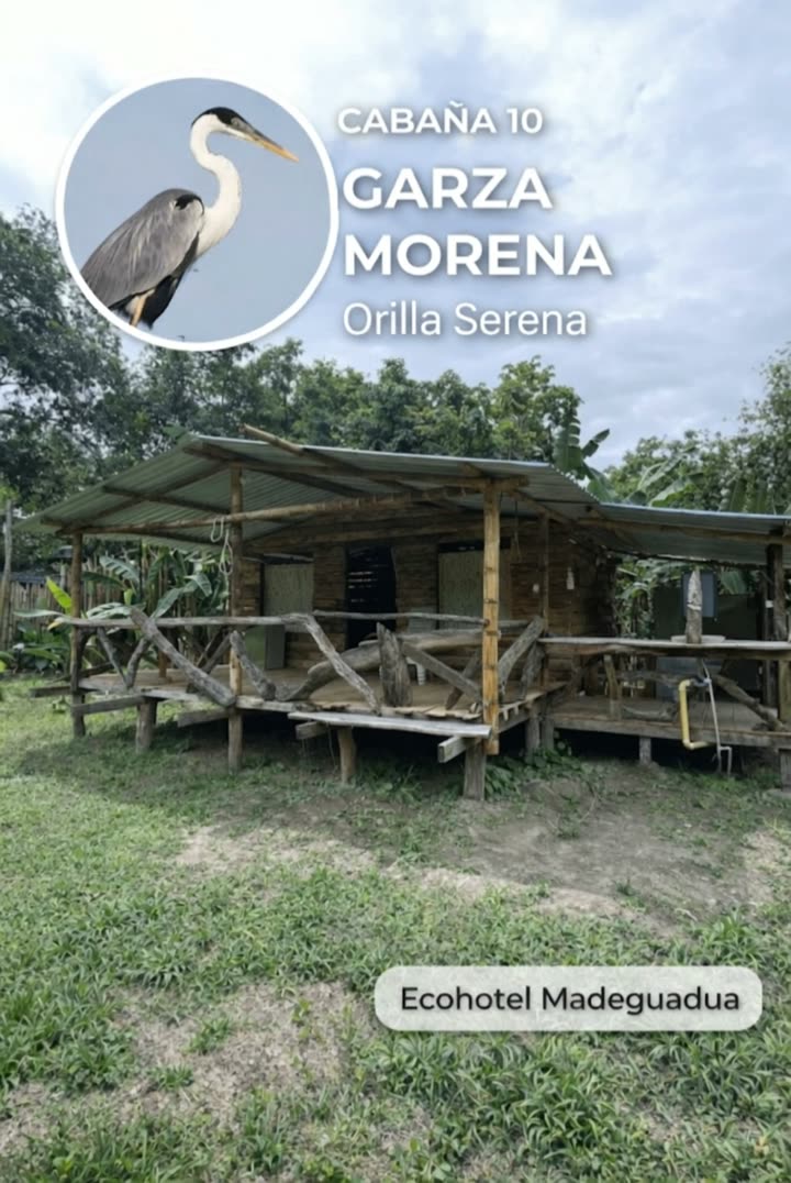 Orilla Serena