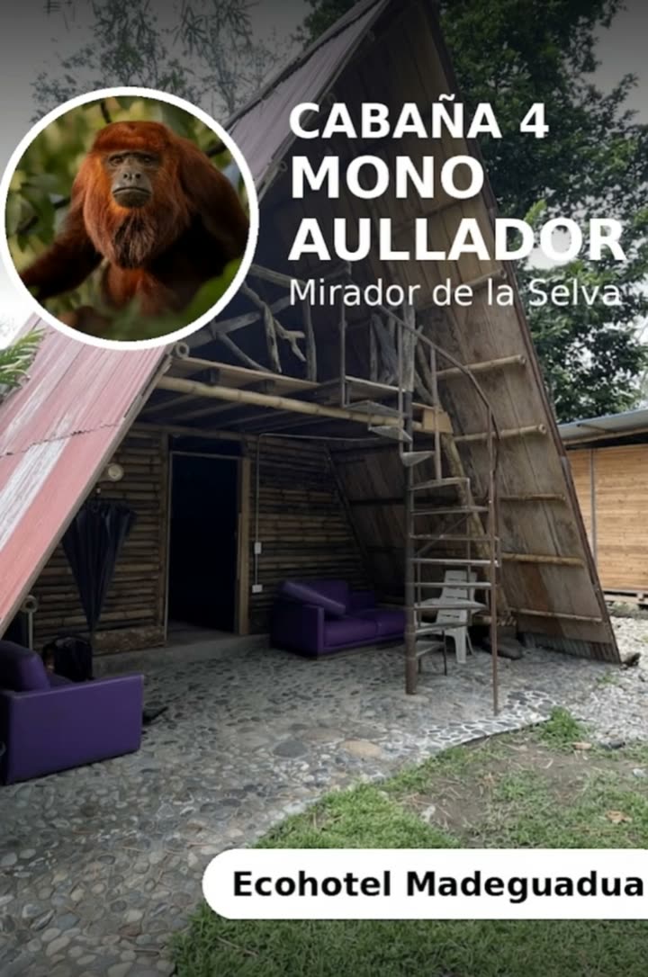 El Mirador de la Selva